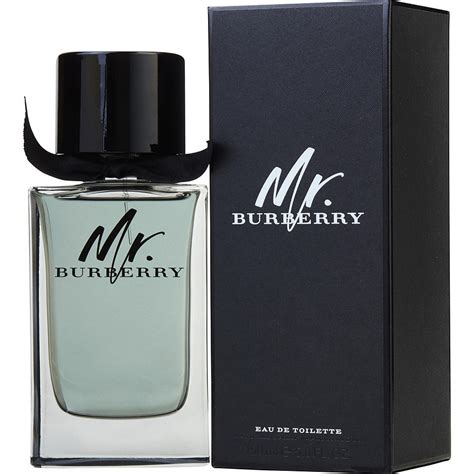 mr burberry eau de parfum vs toilette|mr burberry indigo 50ml.